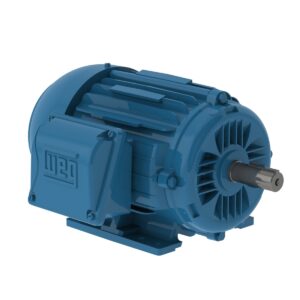 12860528 Motor Trifasico 1 Hp Weg
