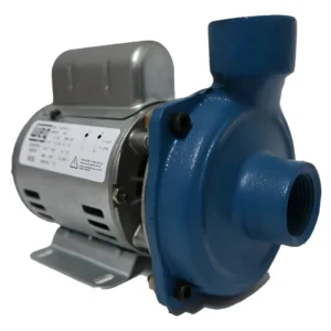 Bomba Centrífuga Weg 1/2 Hp Monofásica Gris 60 Hz Monofásica